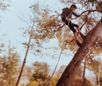  Using the tallest mountain around (a pine tree) at Les Lavandes in Aix to practice rappelling, circa '79