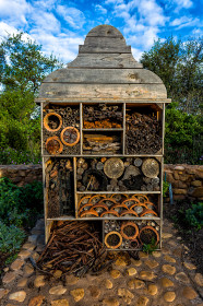  Bug hotel. To be honest, the bugs were asleep.