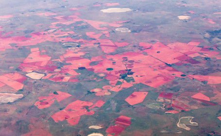  Red soil in farm land, northern Free State