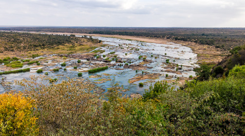 Looking west from Olifants