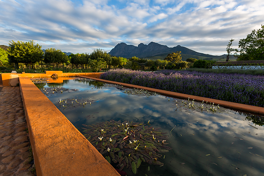 The Namaqualand Bloom, Part 5 - Luxing Out at Babylonstoren