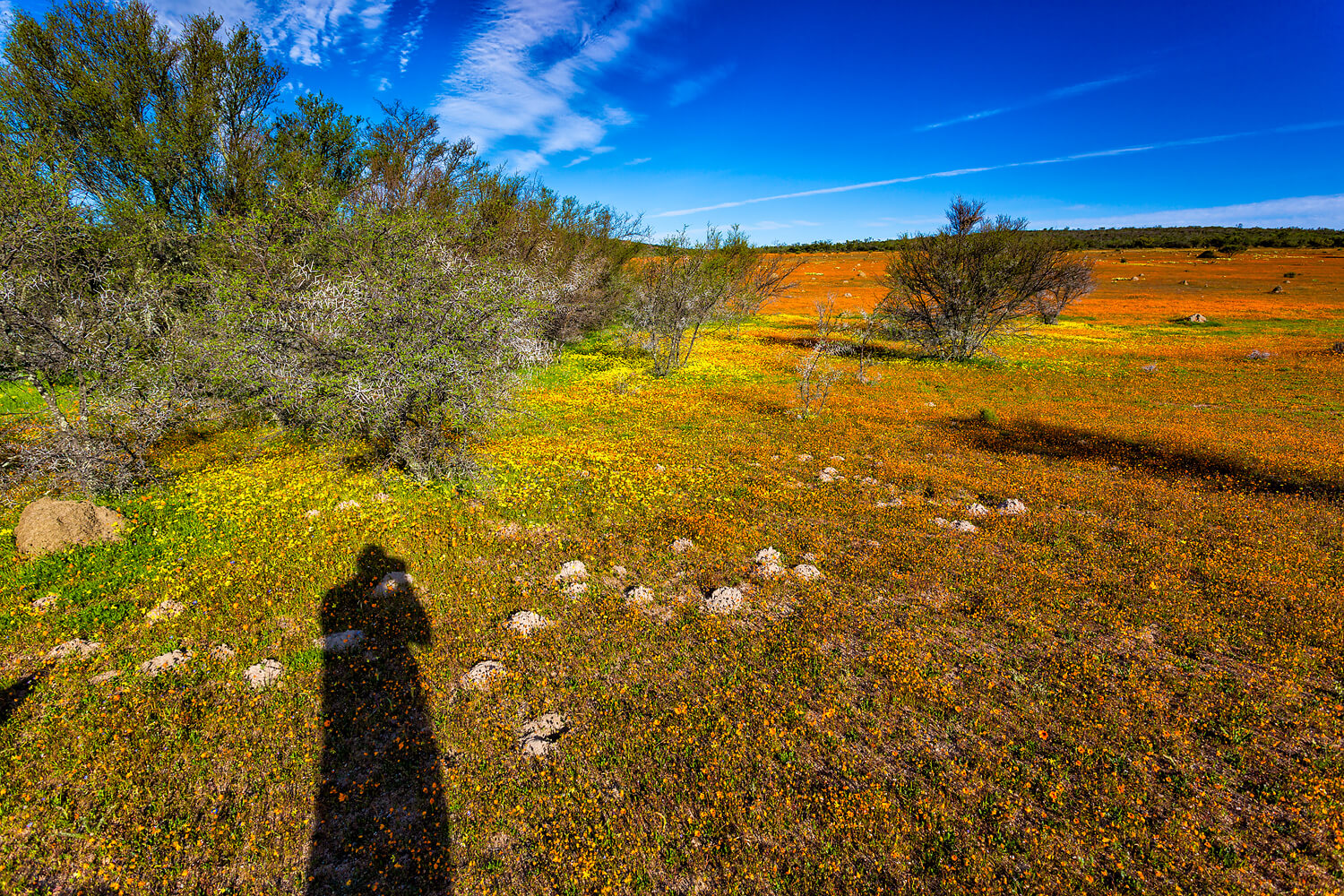 Namaqualand